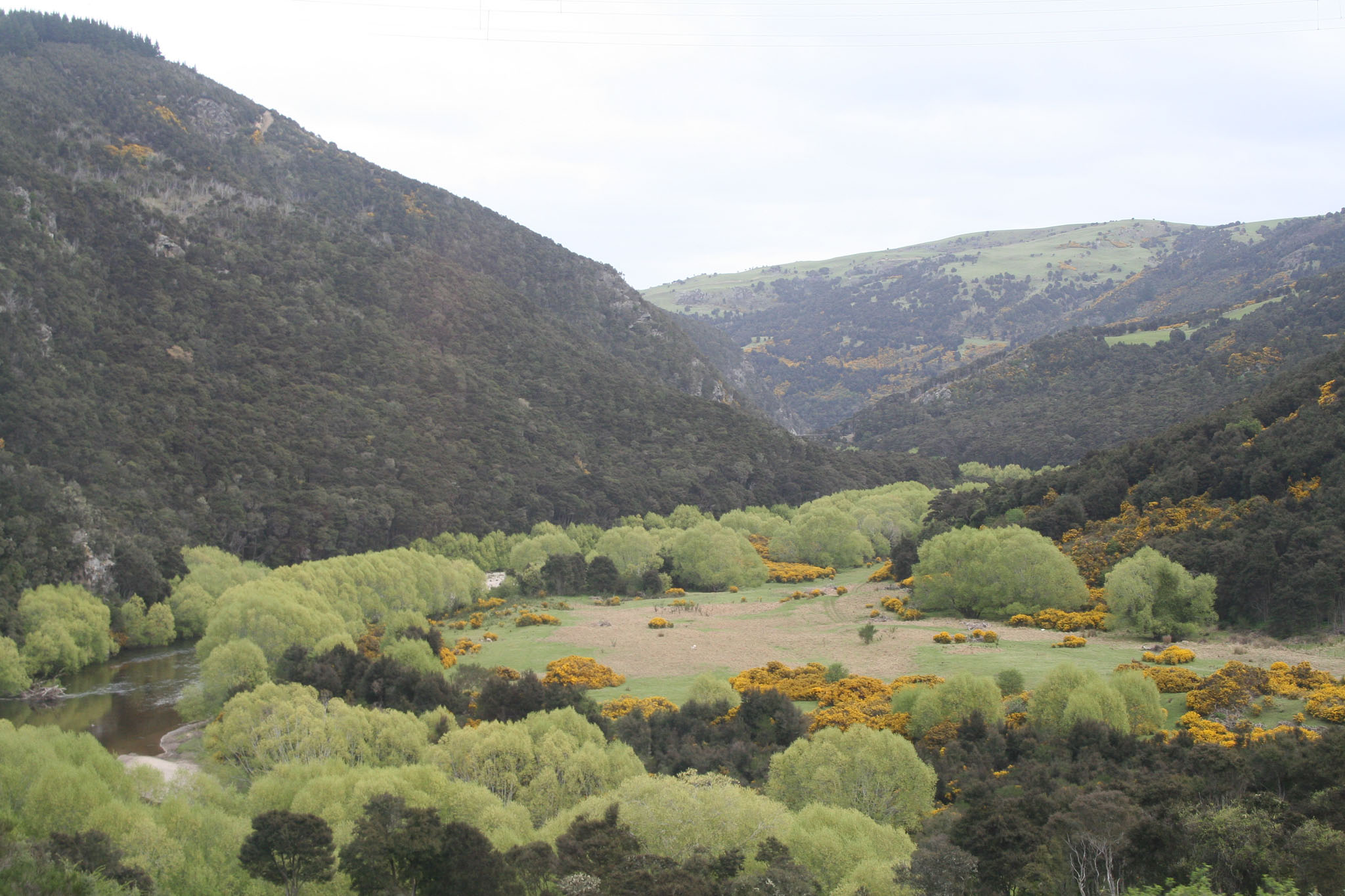 1004-Dunedin-0264.jpg