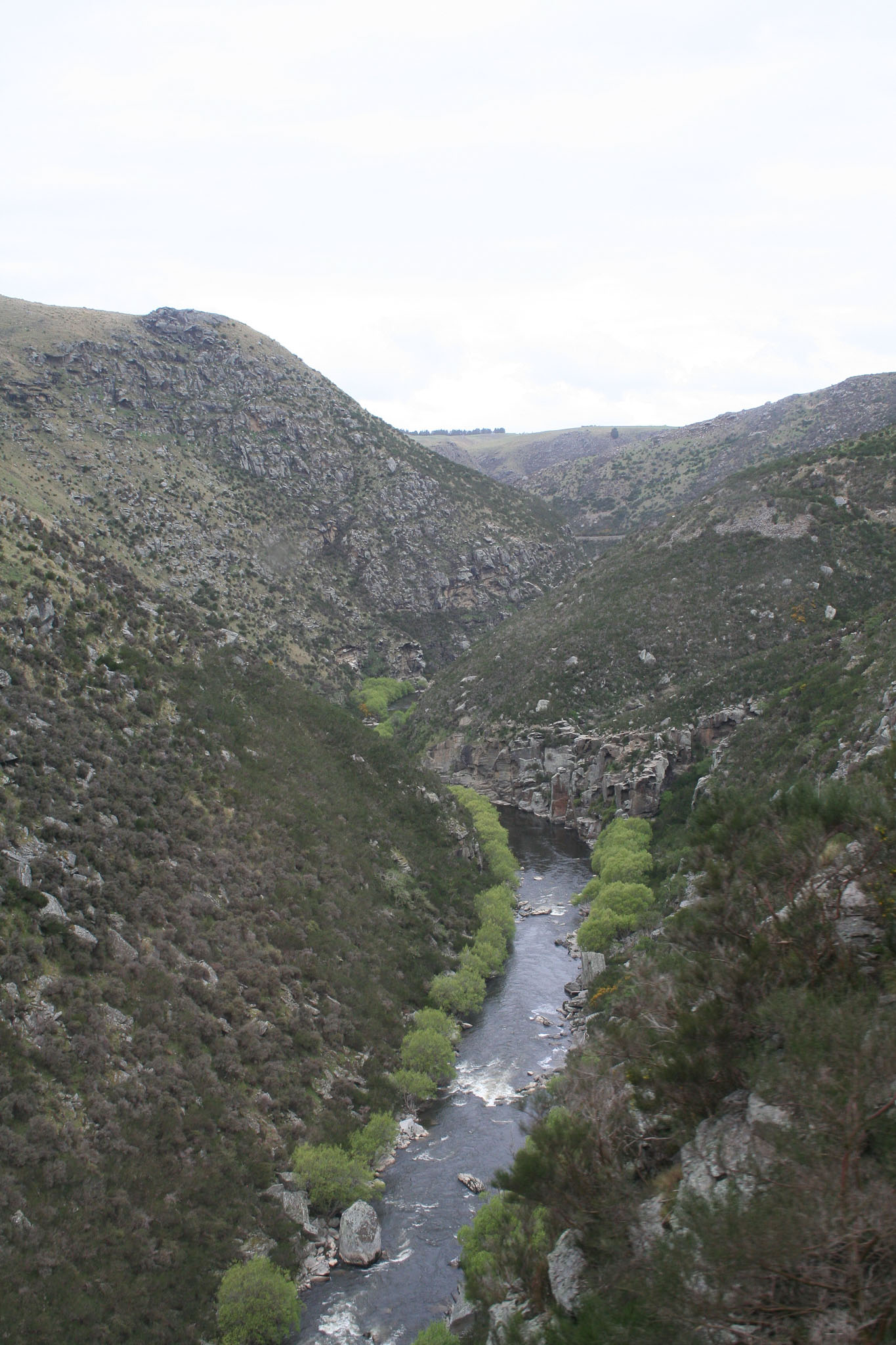 1004-Dunedin-0287.jpg