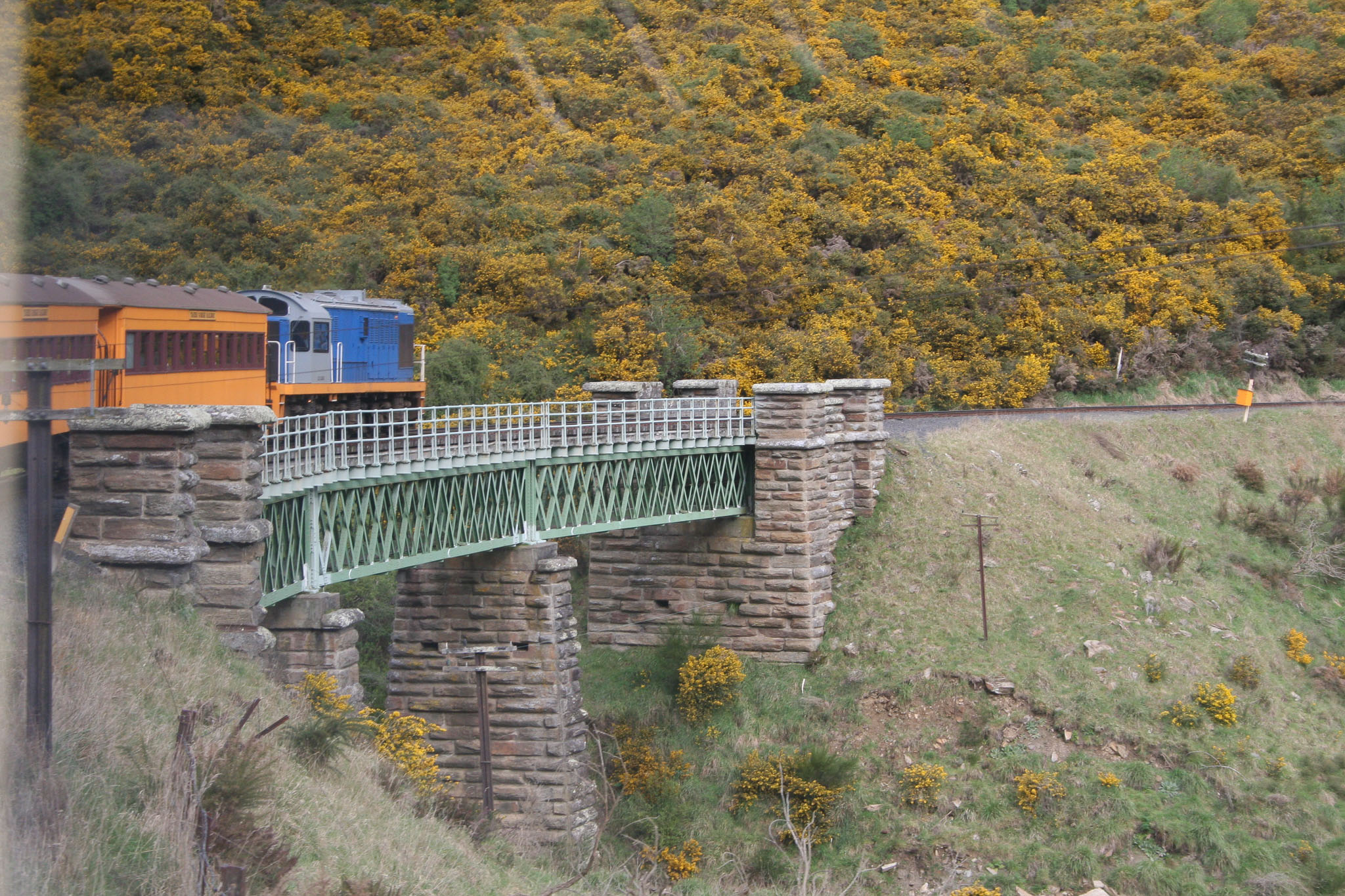 1004-Dunedin-0323.jpg