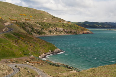 1003-Dunedin-0004.jpg