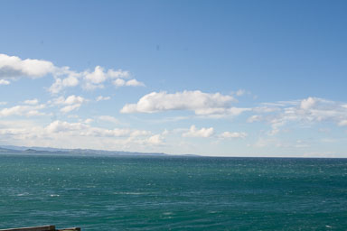1003-Dunedin-0050.jpg