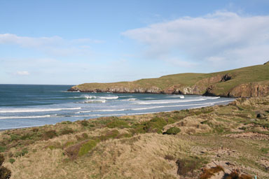 1003-Dunedin-0070.jpg