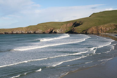 1003-Dunedin-0076.jpg