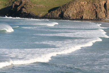 1003-Dunedin-0082.jpg