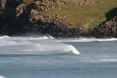 1003-Dunedin-0086.jpg