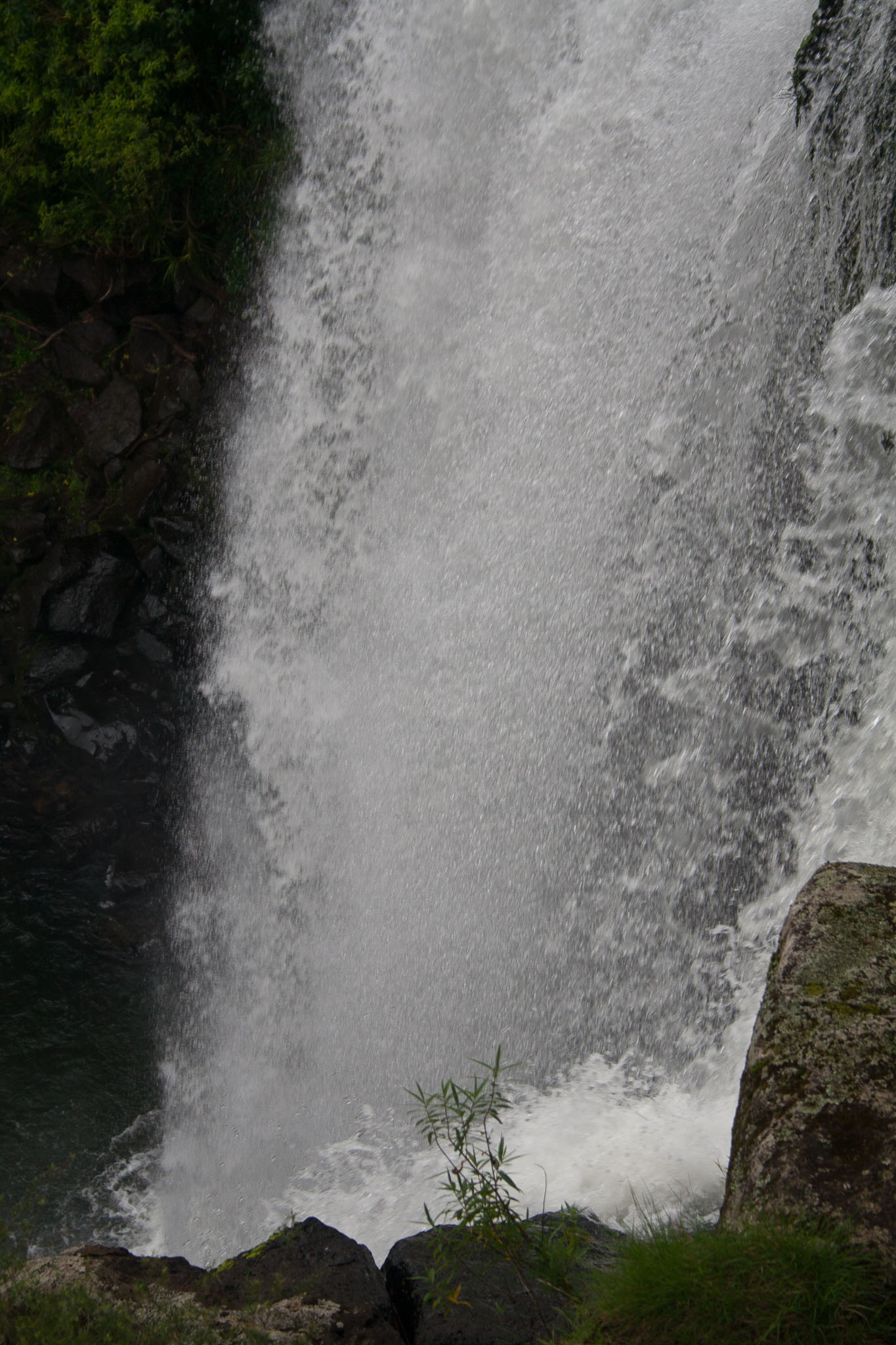 1013--kirikiri-0096.jpg