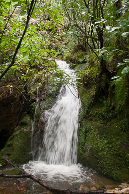 0929-Nelson-0019.jpg