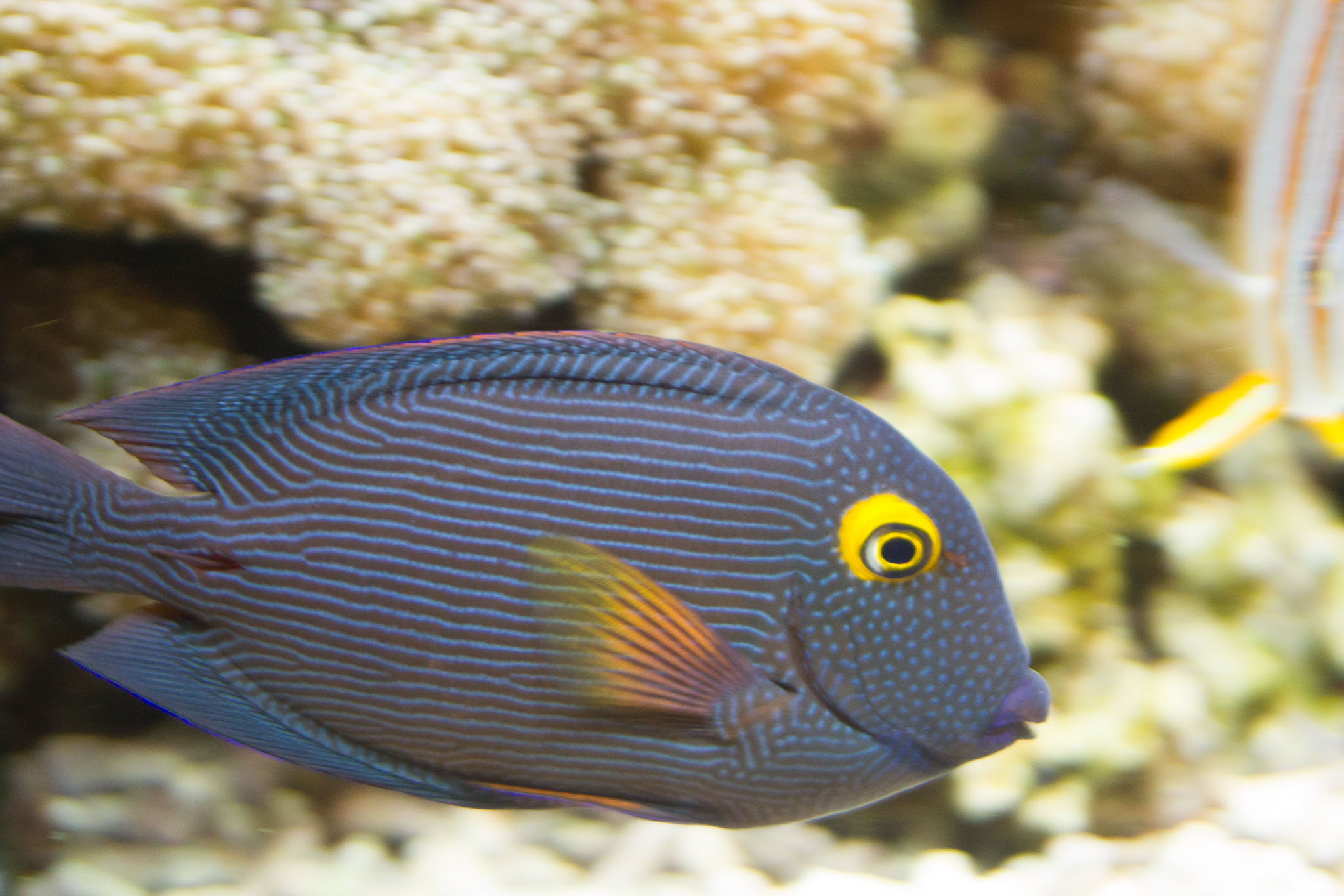1223-AucklandAquarium-0059.jpg