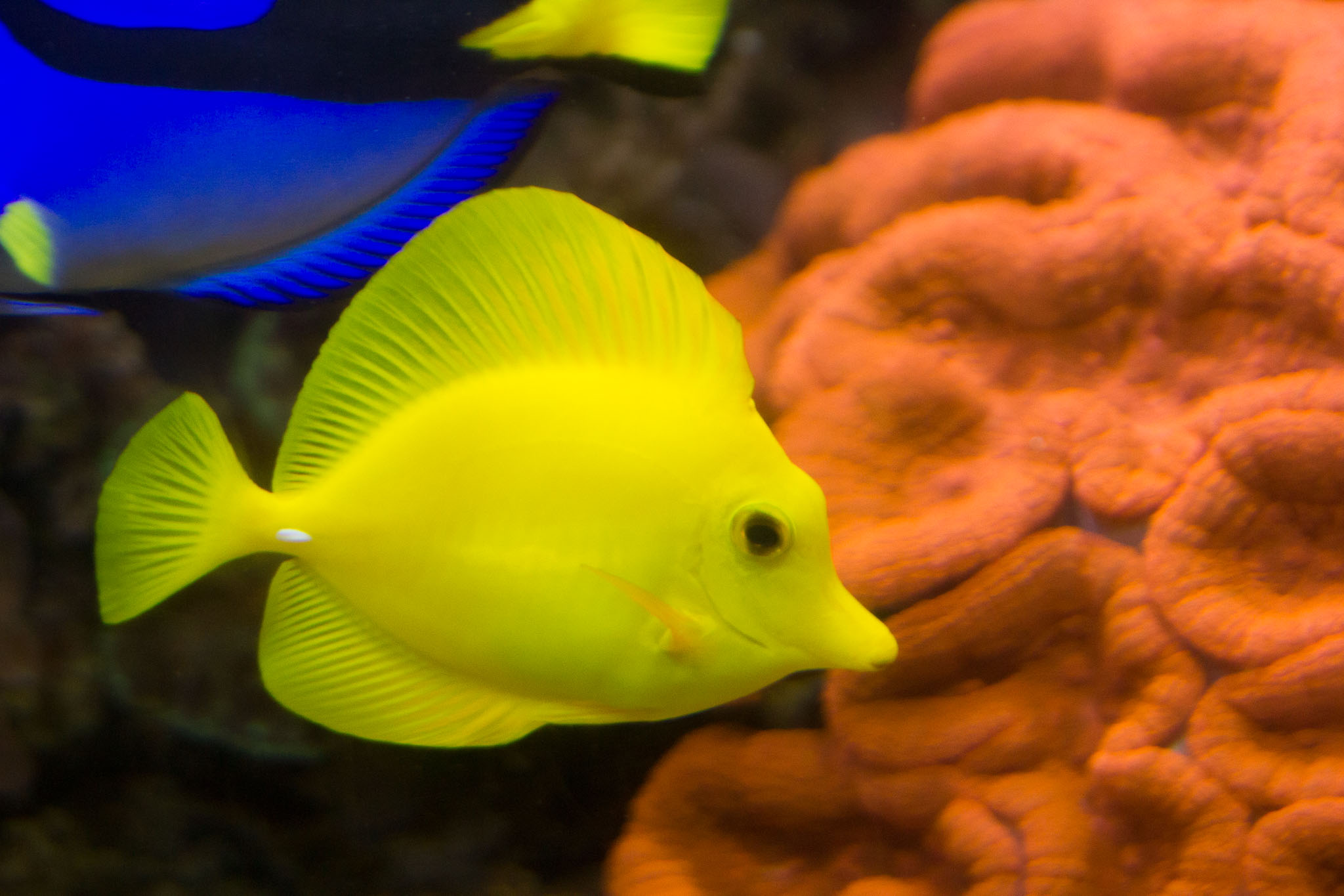 1223-AucklandAquarium-0067.jpg