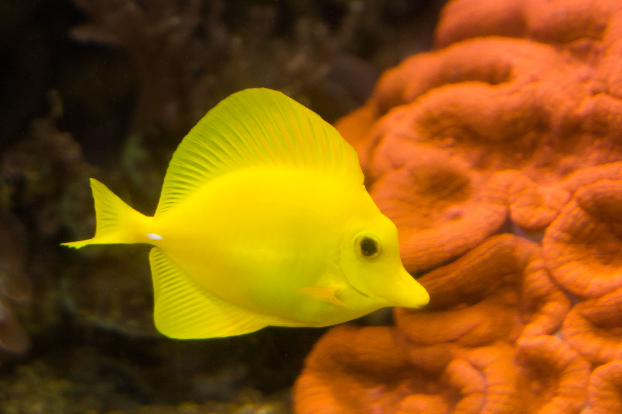 1223-AucklandAquarium-0068.jpg