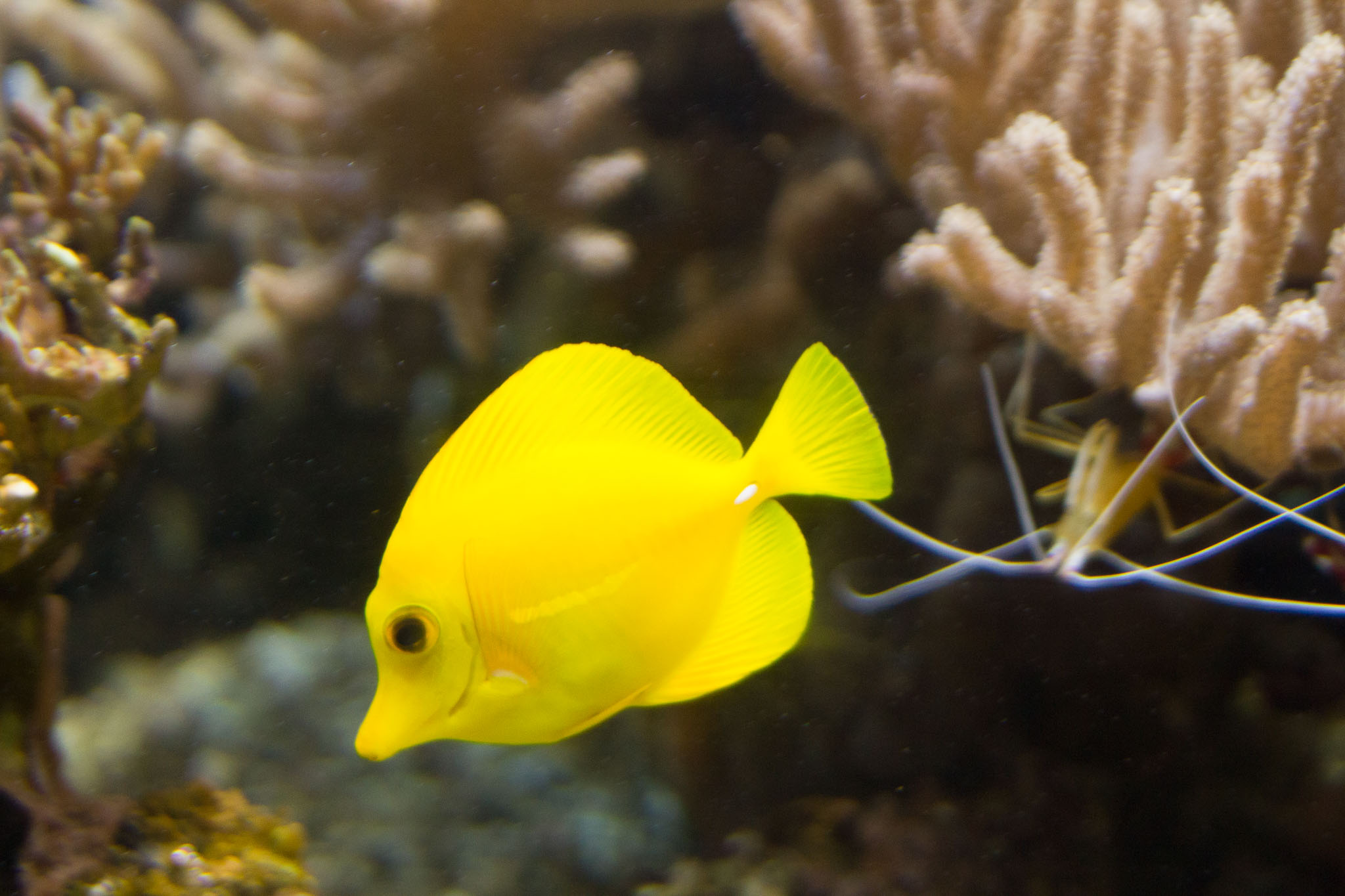 1223-AucklandAquarium-0074.jpg