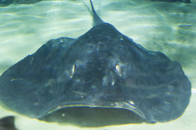 1223-AucklandAquarium-0012.jpg