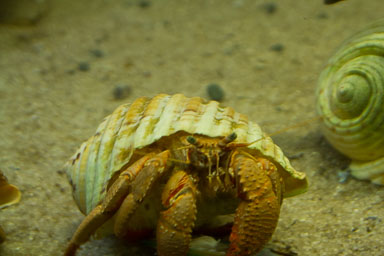 1223-AucklandAquarium-0053.jpg