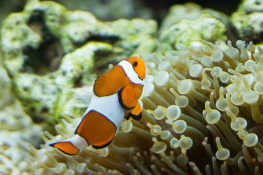 1223-AucklandAquarium-0054.jpg