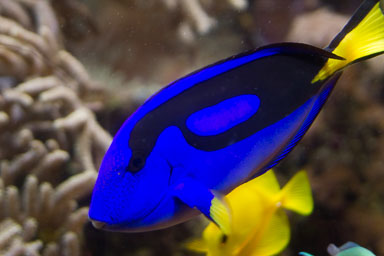 1223-AucklandAquarium-0072.jpg