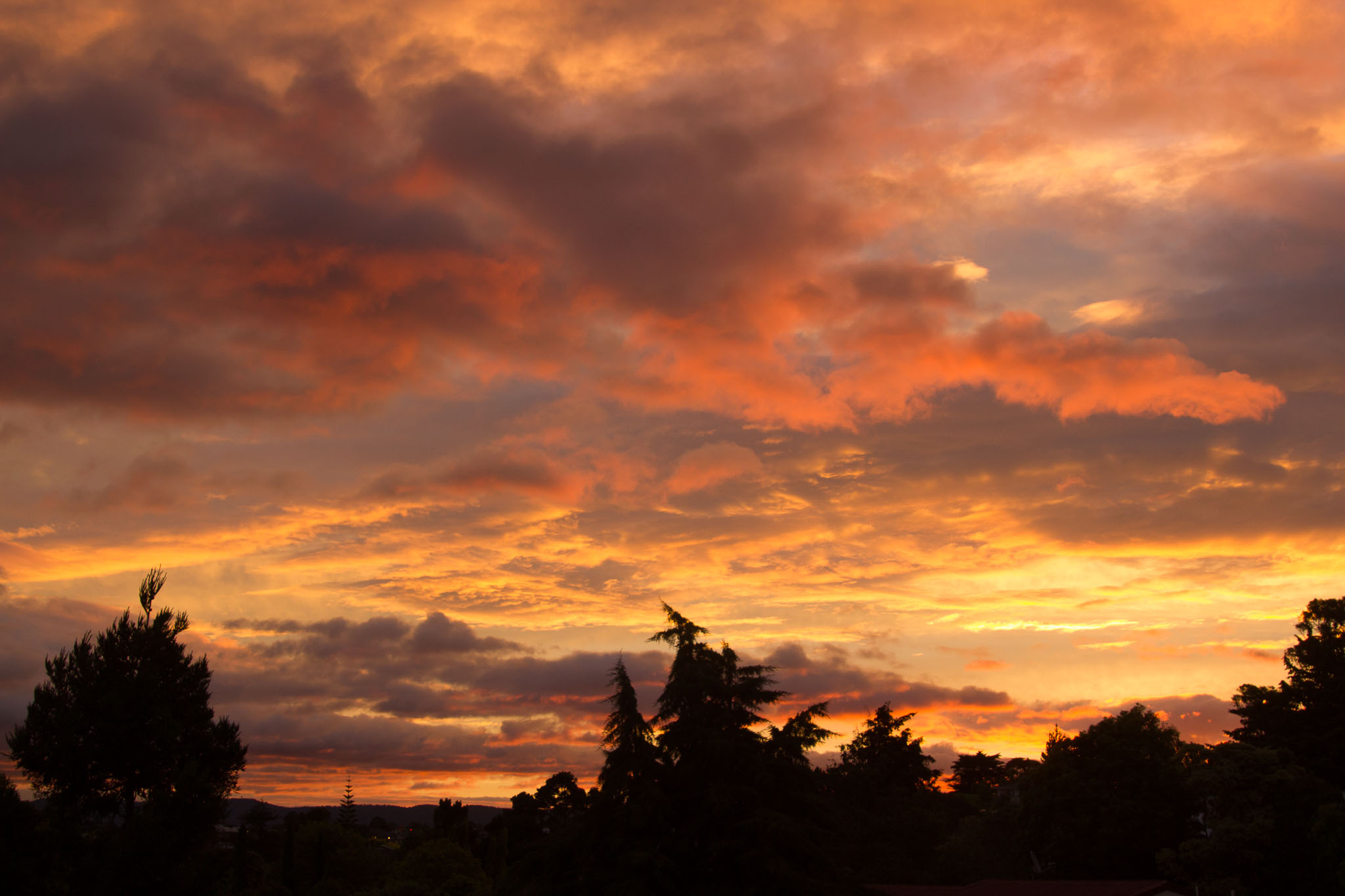 1223-AucklandSunset-0004.jpg