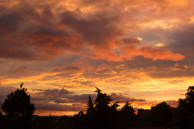 1223-AucklandSunset-0004.jpg
