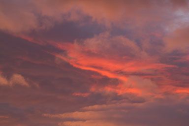 1223-AucklandSunset-0015.jpg