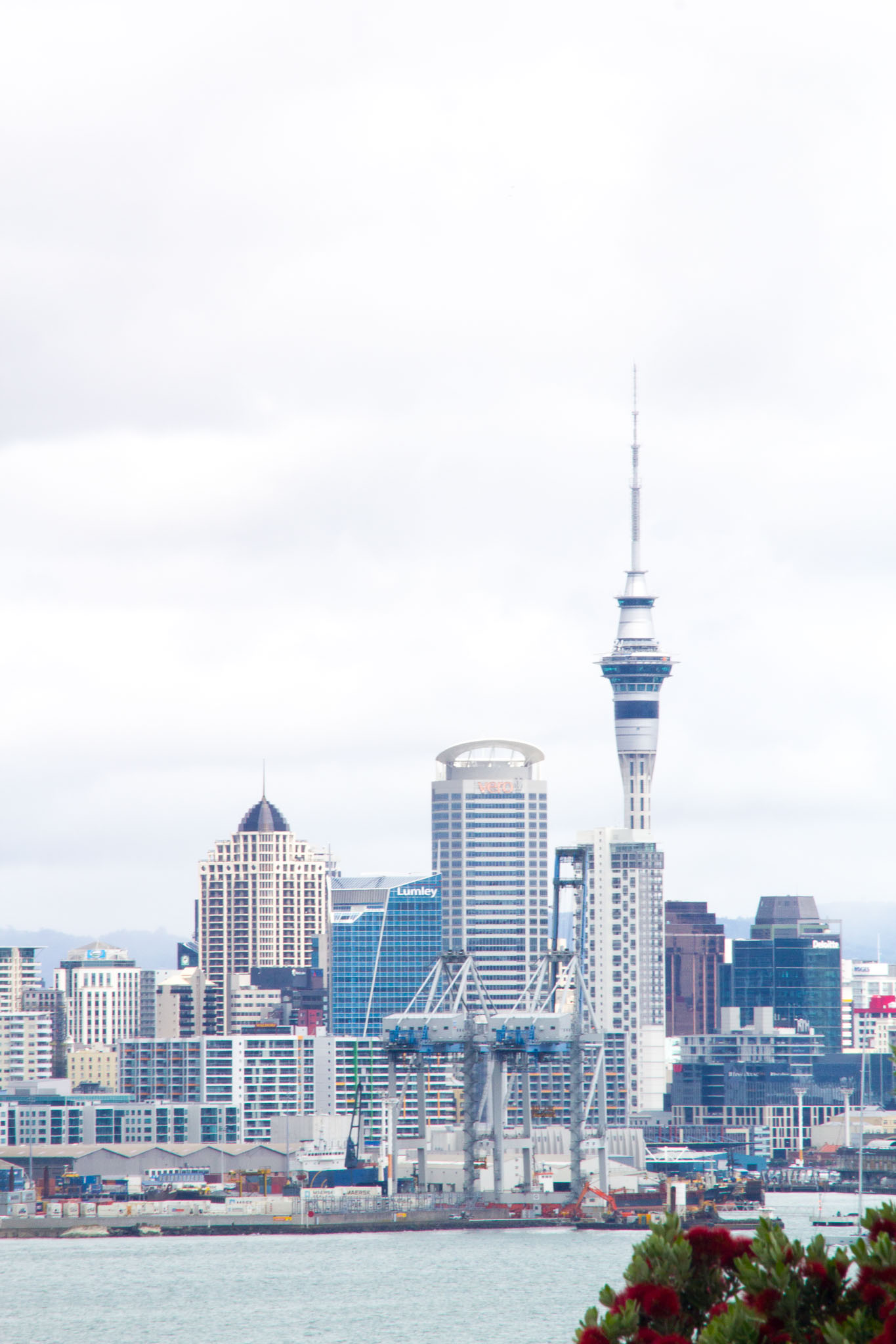 1218-AucklandDevonport-0017.jpg