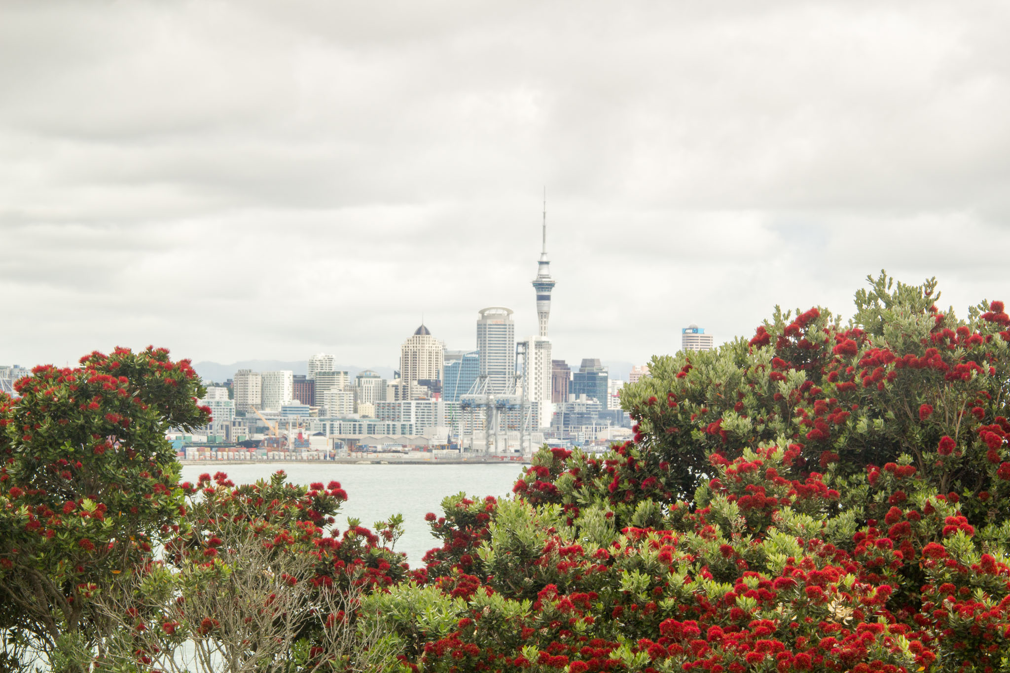 1218-AucklandDevonport-0018.jpg