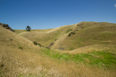 Mission Bay