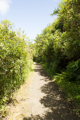 1229-OldCoachRoad-0057.jpg