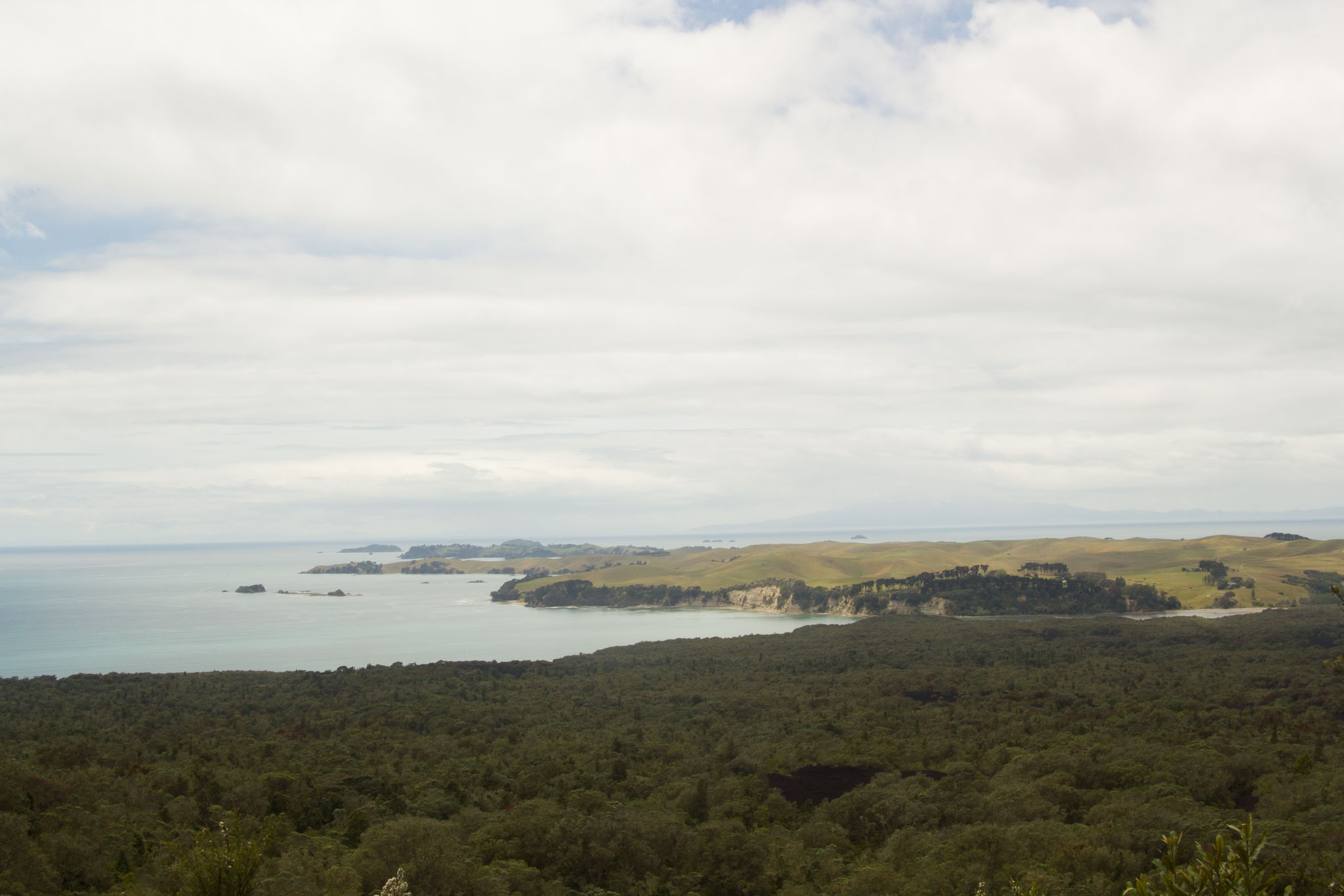 1221-AucklandRangitoto-0052.jpg