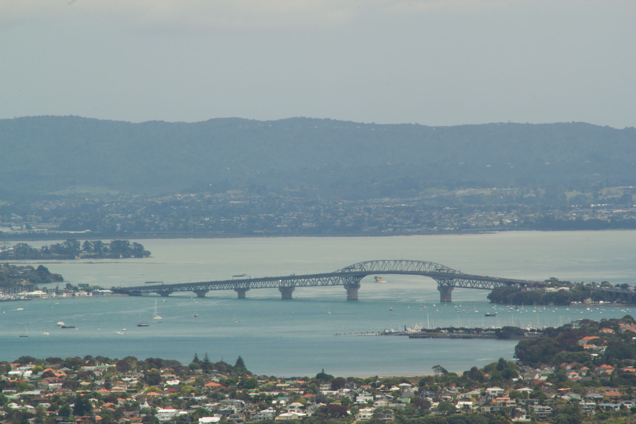 1222-AucklandRangitoto-0082.jpg