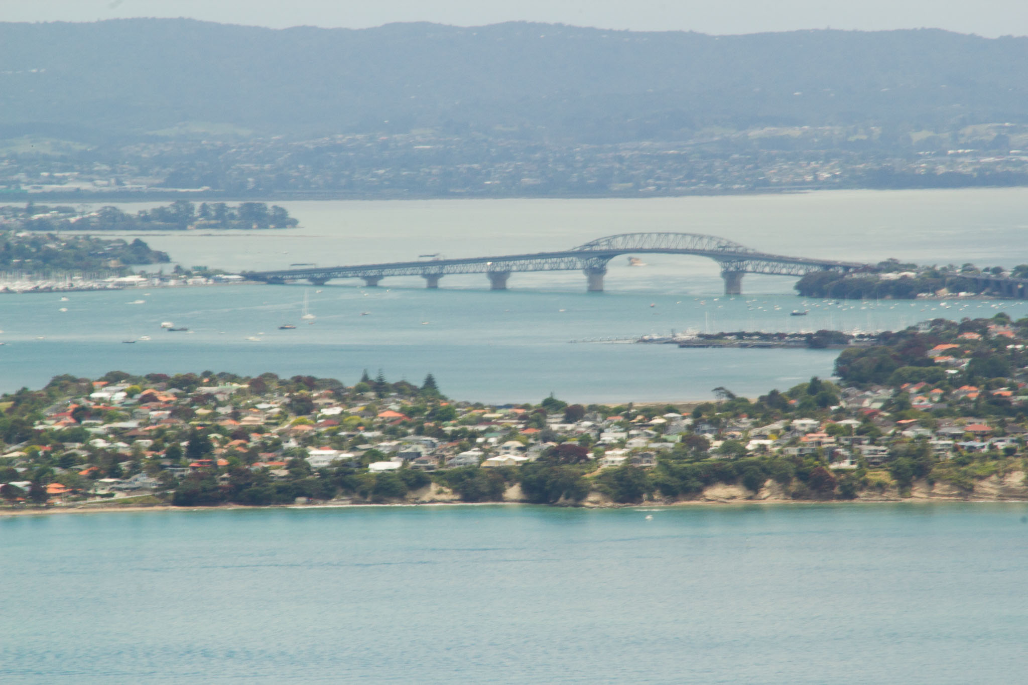 1222-AucklandRangitoto-0083.jpg