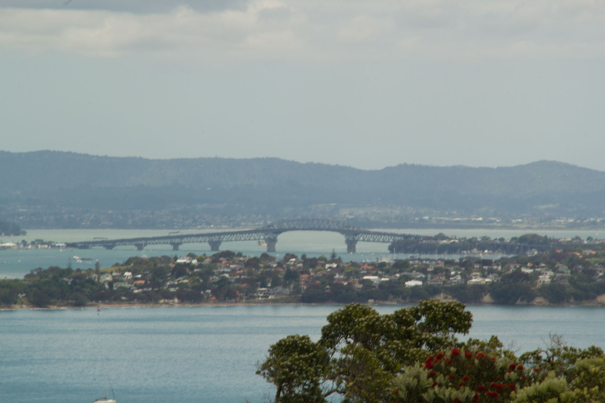 1222-AucklandRangitoto-0108.jpg