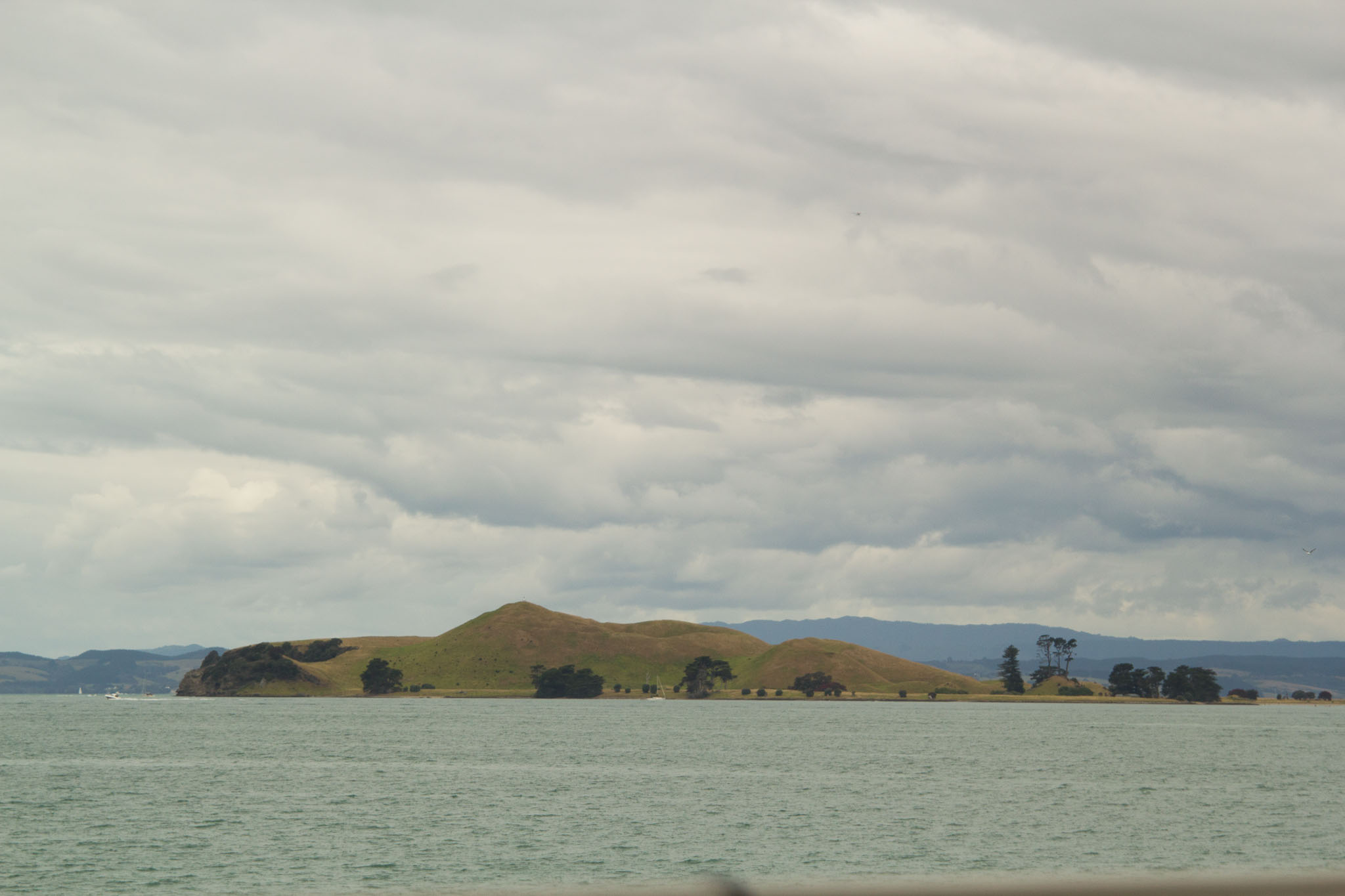 1222-AucklandRangitoto-0130.jpg