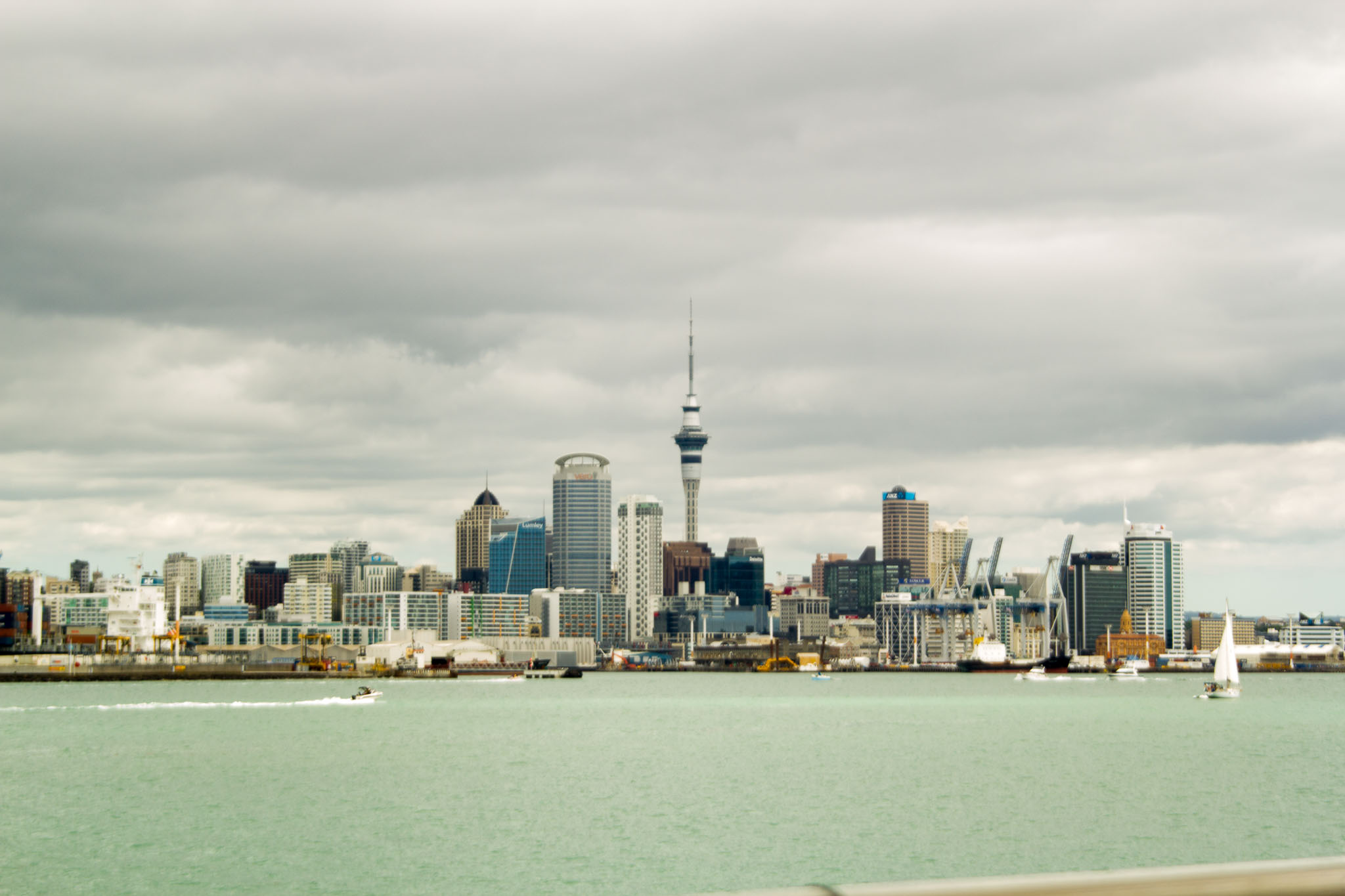1222-AucklandRangitoto-0150.jpg