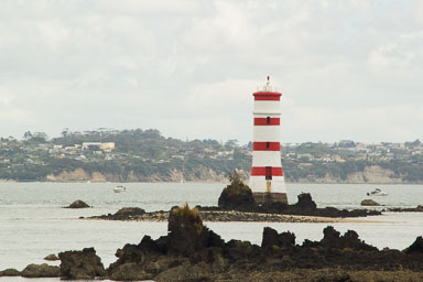 1221-AucklandRangitoto-0030.jpg