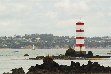 1221-AucklandRangitoto-0042.jpg