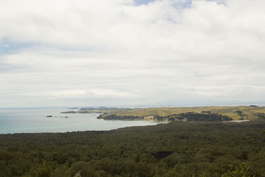 1221-AucklandRangitoto-0052.jpg