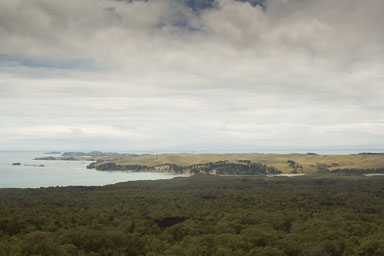 1221-AucklandRangitoto-0059.jpg