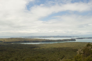 1221-AucklandRangitoto-0062.jpg