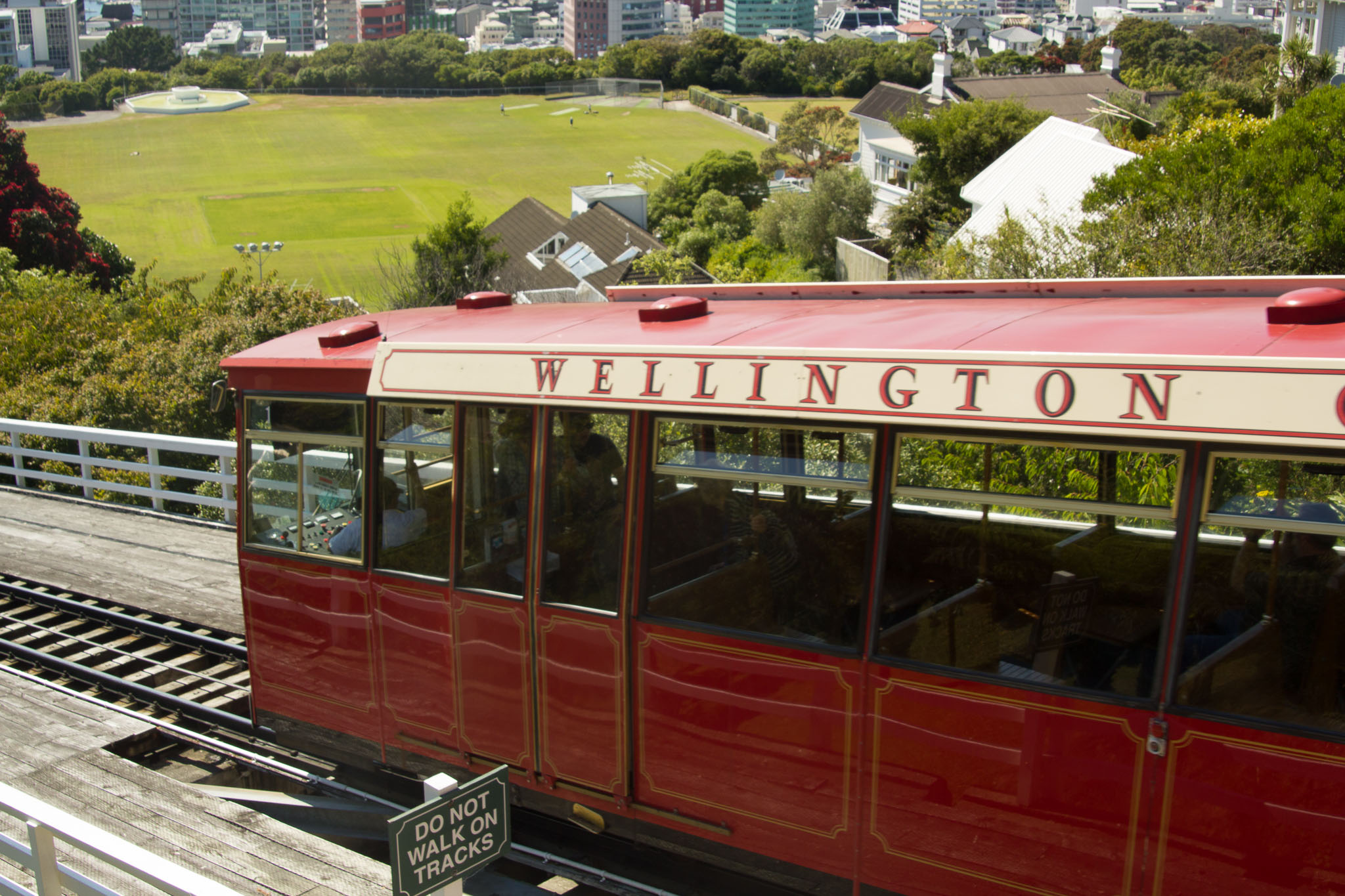 0105-WellingtonBotanicGarden-0021.jpg