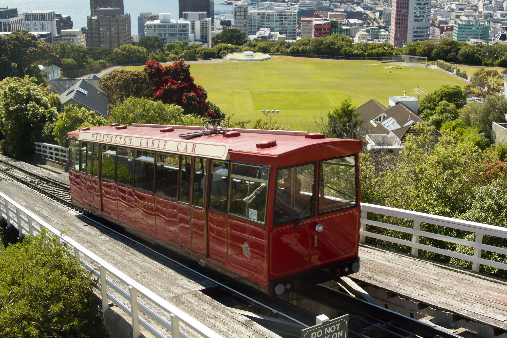 0105-WellingtonBotanicGarden-0023.jpg