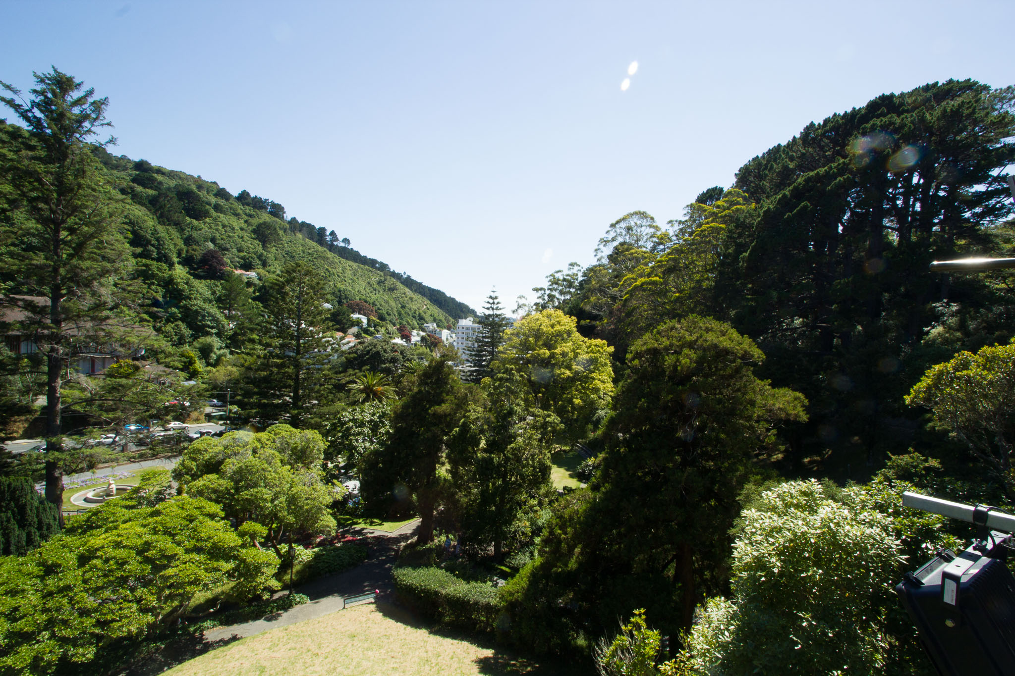 0105-WellingtonBotanicGarden-0079.jpg