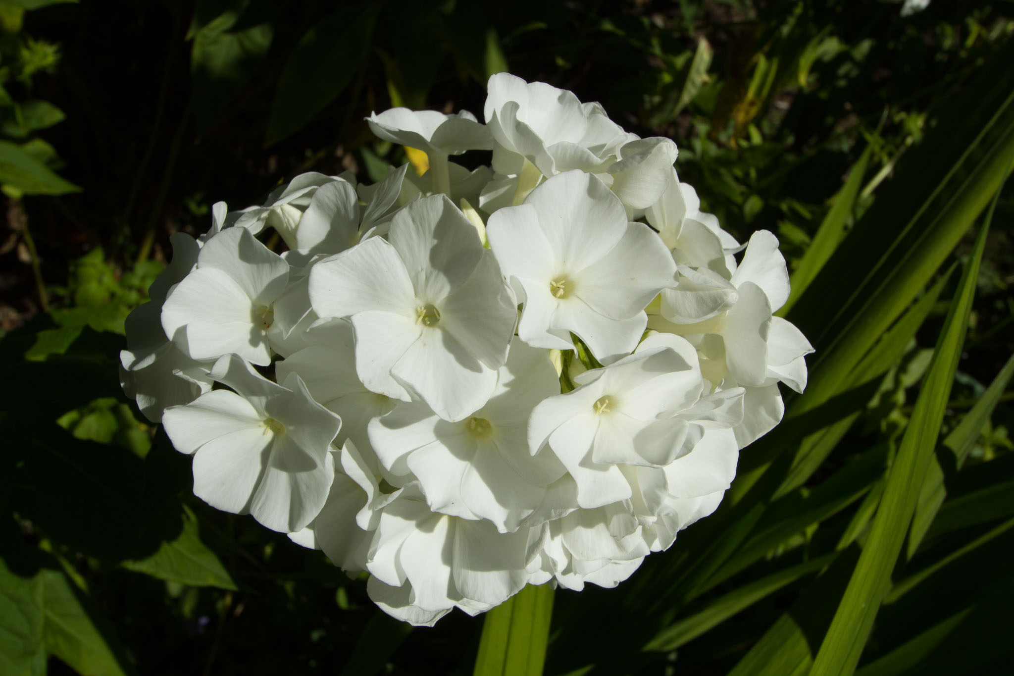 0105-WellingtonBotanicGarden-0086.jpg