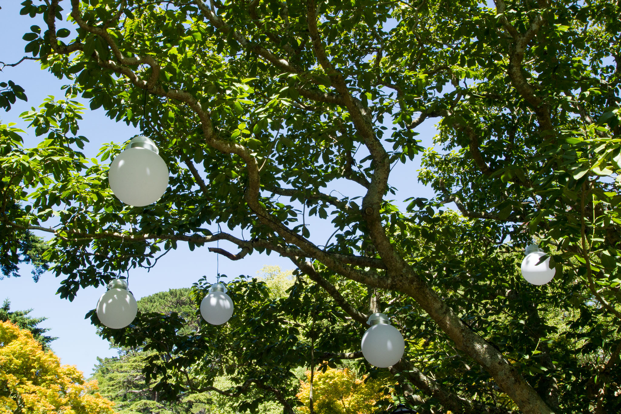 0105-WellingtonBotanicGarden-0088.jpg
