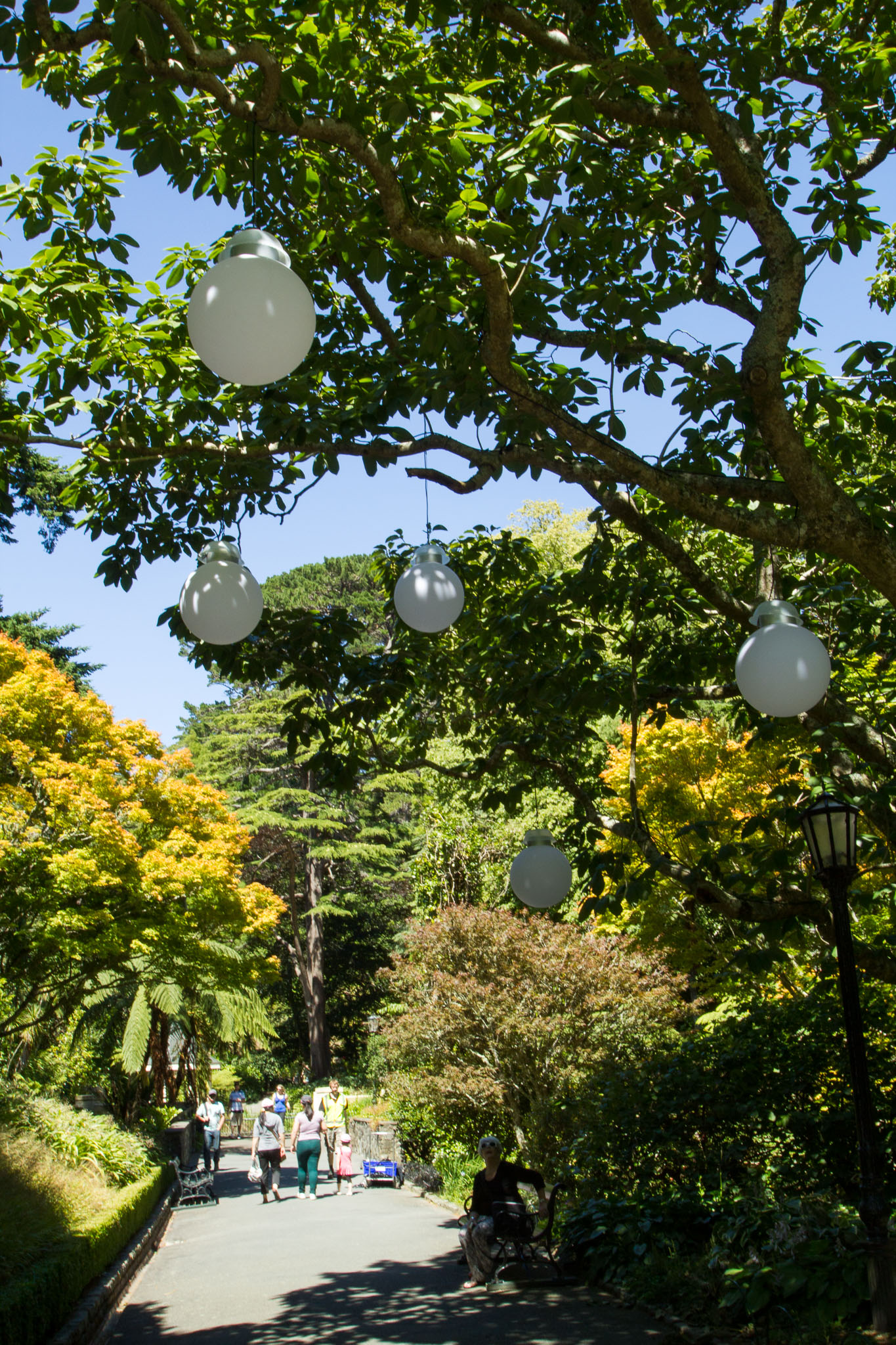 0105-WellingtonBotanicGarden-0089.jpg