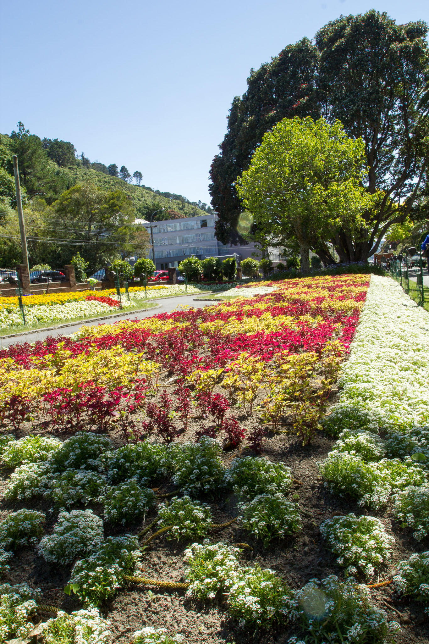 0105-WellingtonBotanicGarden-0090.jpg