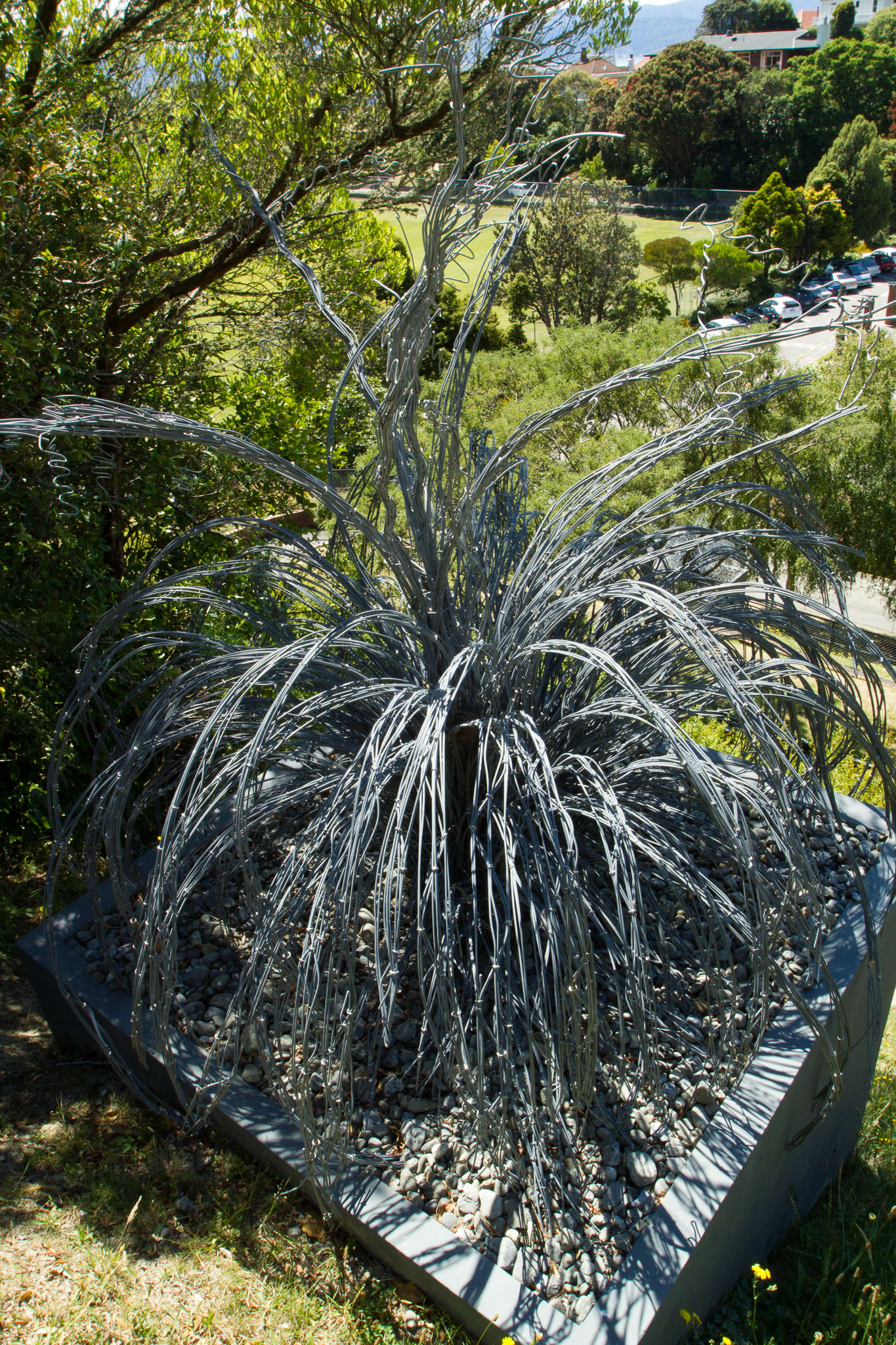 0105-WellingtonBotanicGarden-0103.jpg