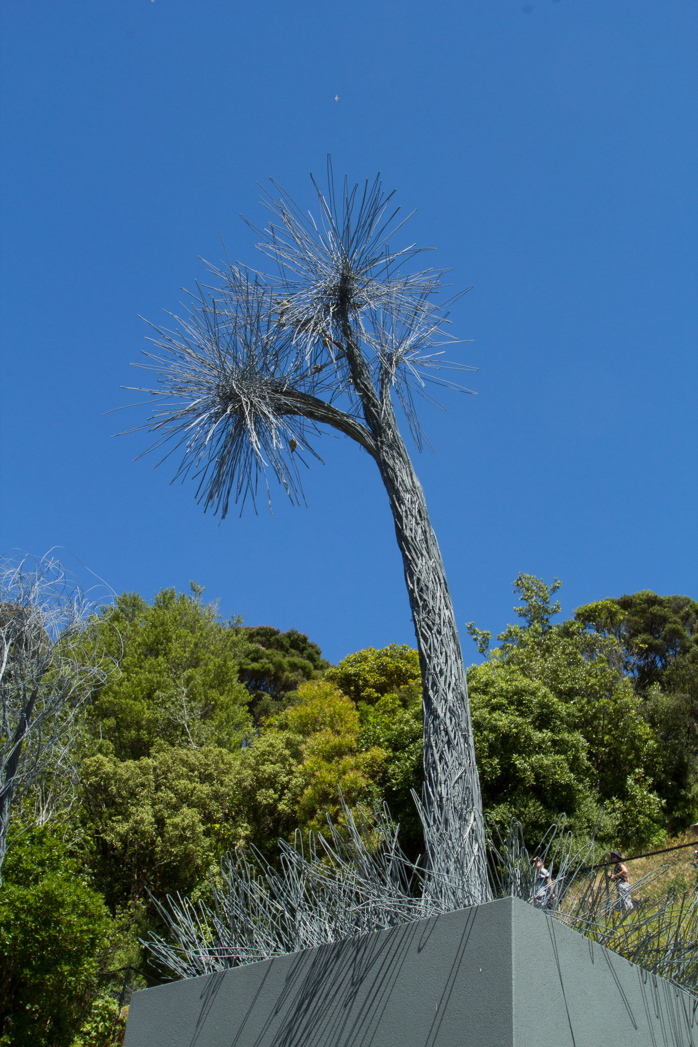 0105-WellingtonBotanicGarden-0104.jpg
