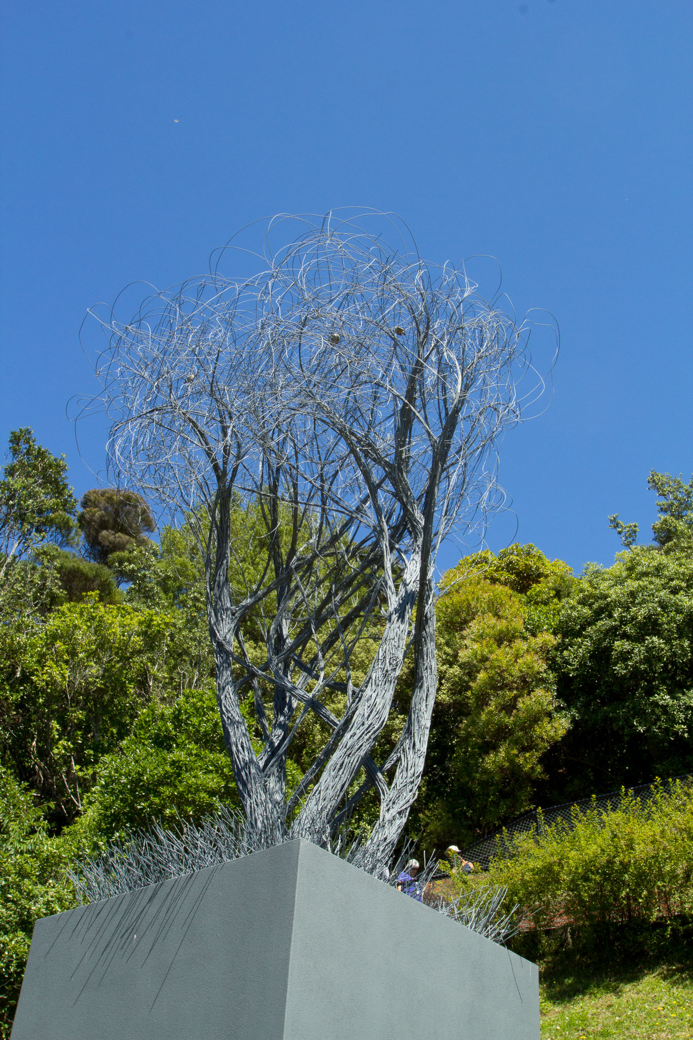 0105-WellingtonBotanicGarden-0106.jpg