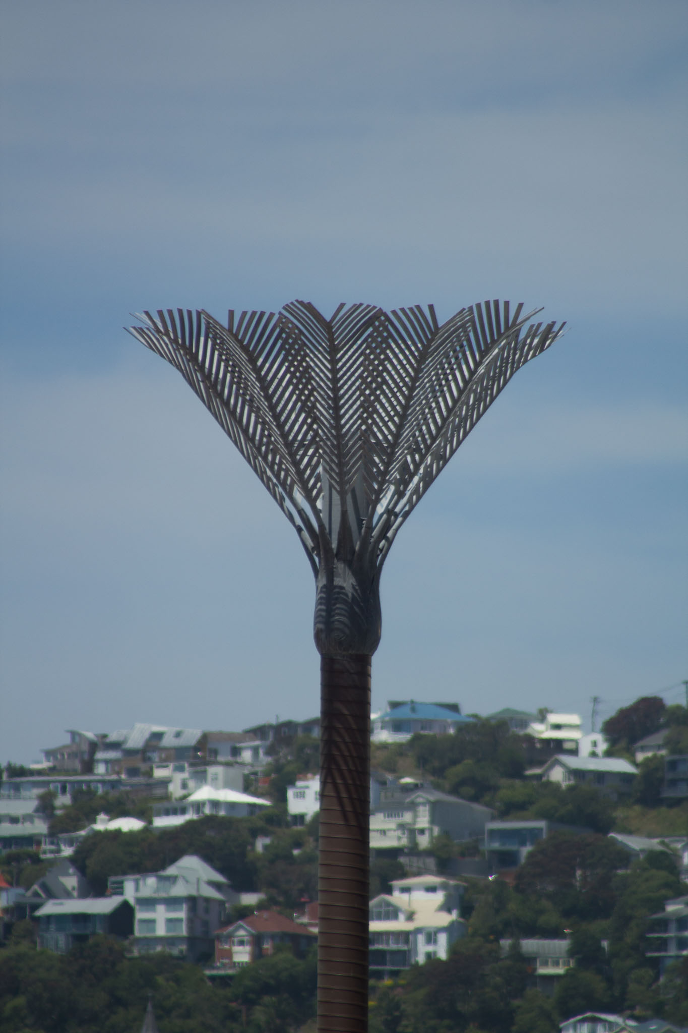 0106-WellingtonBotanicGarden-0196.jpg