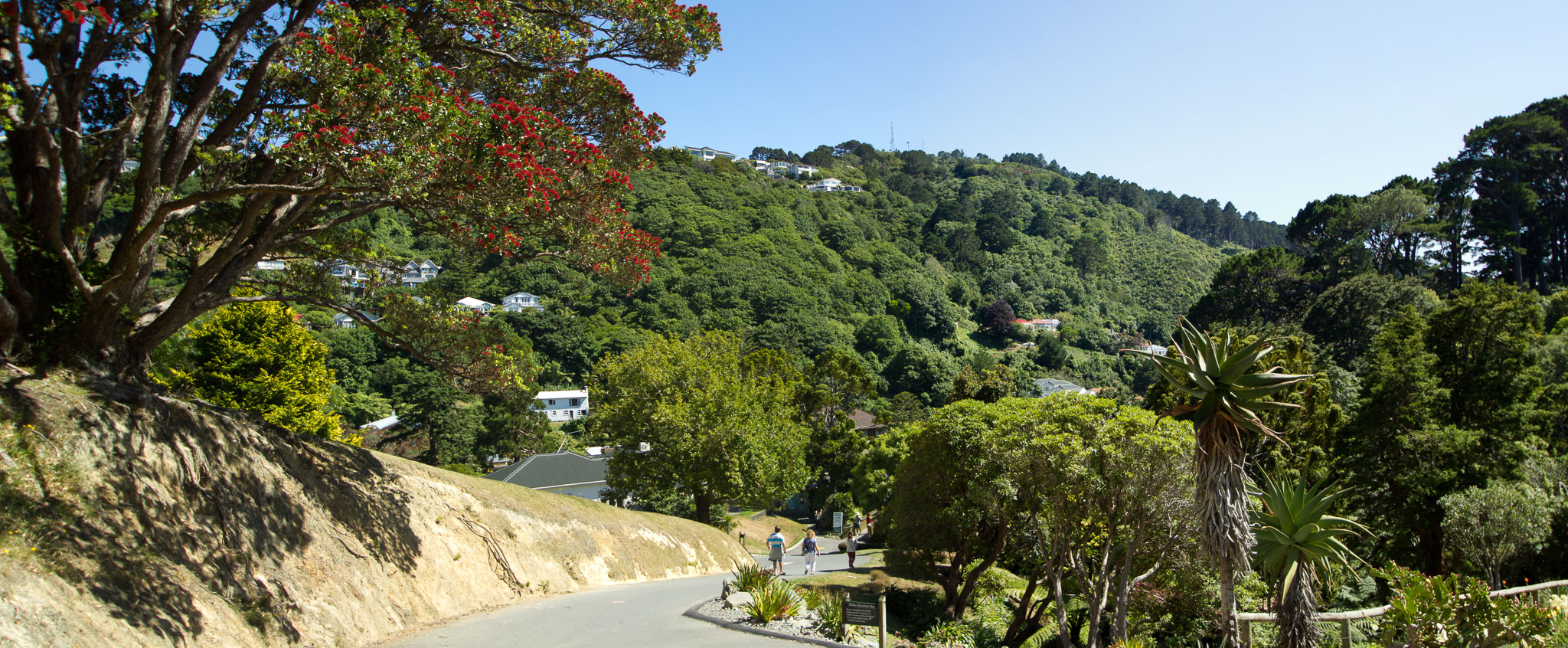 WellingtonBotanicGarden_Panorama2.jpg