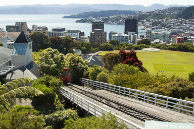 0105-WellingtonBotanicGarden-0008.jpg